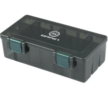 Коробка Brain Organizer Box #496 23х11х7cm