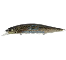 Воблер DUO Realis Jerkbait 120SP 120mm 18.0g CCC3815