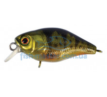 Lure Jackall Chubby 38mm 4g Ghost G Perch Floating