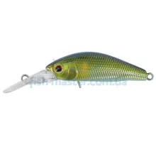 Lure Jackall Diving Chubby Minnow 35mm 2.7g Ayu Suspending