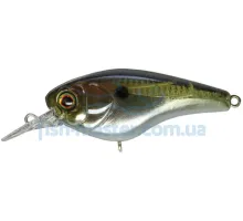 Lure Jackall Jaco 58SR 58mm 9.5g TO Flash Shad F