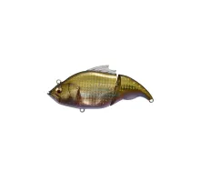 Lure Megabass Vatalion F GG Kin Buna