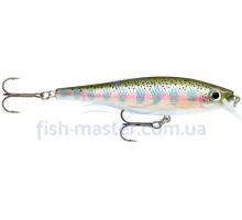Lure Rapala BX MINNOW BXM10 RT