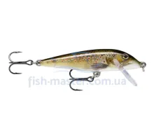 Воблер Rapala CountDown CD09 TRL