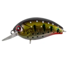 Lure Tsuyoki AGENT 36F Z010