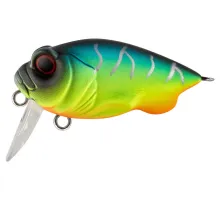 Lure Tsuyoki PLUG SSR 38F 805