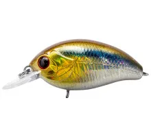 Lure Tsuyoki AGENT 36F 200