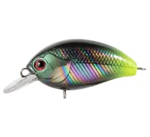 Lure Tsuyoki AGENT 36F L002