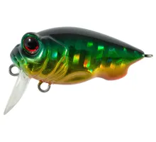 Lure Tsuyoki PLUG SSR 38F 175