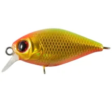 Lure Tsuyoki SWING XC 36F 436