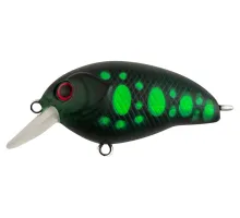 Lure Tsuyoki AGENT 40F 041