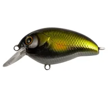 Lure Tsuyoki AGENT 40F 167