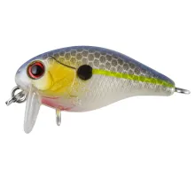 Lure Tsuyoki CHEF SSR 32F 172