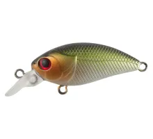 Lure Tsuyoki FUGAZ 36F 407