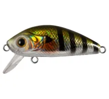 Lure Tsuyoki GNOM 45SS 123