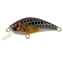 Lure Tsuyoki ITTEKI 37F 264N