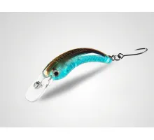 Wobbler Bearking Timon NoraCra 29F color I Sea Breeze 