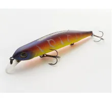 Wobbler Bearking Orbit 110SP color D 