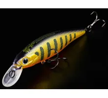 Wobbler Bearking Squad Minnow 80SP color E Mat Perch 