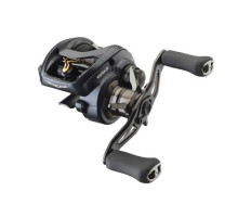 Reel Daiwa Steez A II TW 1000XHL