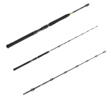 Spinning travel rod Daiwa BG Big Game 1.68m 300-800g