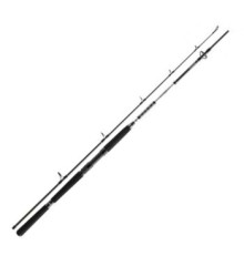 Спінінг Daiwa BG Offshore Boat 2.1m 150-400g
