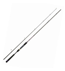 Spinning rod Daiwa Crosscast Seabass 1002HXHFS 3.05m 14-56g