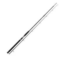Spinning rod Daiwa Exceler Catfish Spin 2.40m -185gr