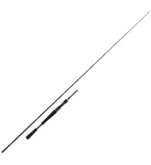 Spinning rod Daiwa Pro Staff BC 2.00m 30-80g
