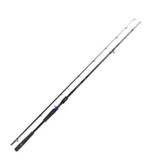Spinning casting. Daiwa Prorex AGS Bait Heavy Target 7` 2.13m 150g