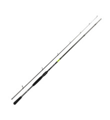 Спінінг Daiwa Prorex X Spin 2.56m 30-120g