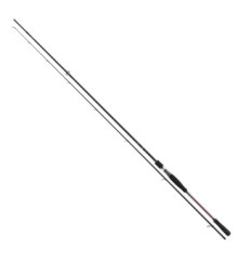 Спінінг Daiwa Prorex X 2.40m 30-70gr