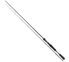 Спінінг Daiwa Prorex XR Jerk BC 1.95m 40-120gr