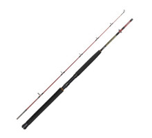 Spinning rod Daiwa Seahunter Spin 1.83m 120-300g