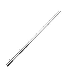 Спиннинг Daiwa Seahunter X Sea Trout 3.10m 10-40g