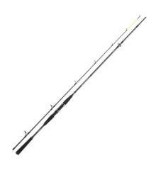 Spinning rod Daiwa Seahunter X 2.70m 30-60g