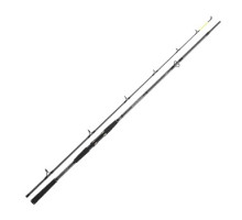 Spinning Daiwa Seahunter X 2.60m 60-180g