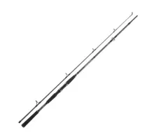 Spinning Daiwa Seahunter X 2.70m 100-200g