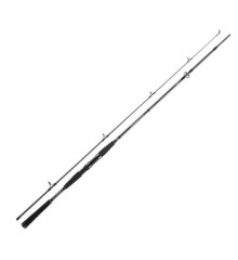 Спиннинг Daiwa Seahunter X 2.40m 40-120g