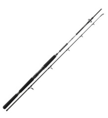Spinning travel Daiwa BG Offshore Travel Pilk 2.4m 50-200g