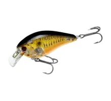 Wobbler Lucky Craft LC 1.5 CF Lens Ghost Golden Black Shad