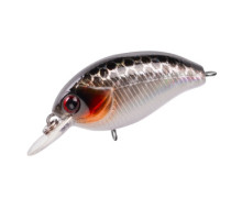 Wobbler TRIDENT Reach SR 36F VA009