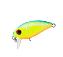 Wobbler TRIDENT Riot SSR 36F VA013S