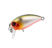 Wobbler TRIDENT Riot SSR 36F VA039
