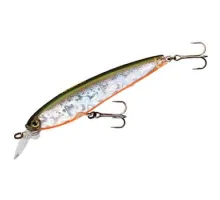 Wobbler Yo-Zuri 3DS Minnow SP 100mm 17g #HTS