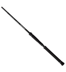 Spinning rod Ever Green Poseidon Zephyr Avantgarde ZAGS-96ML/M+ Ace Atacker 96 2.89m 8-30g