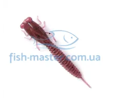 Fanatik x-larva 2 