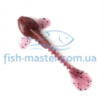 Fanatik goby 2 