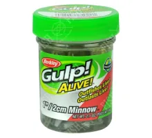 Berkley Gulp fry! Minnow 1