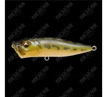 Wobbler Megabass POPX col. TONOSAMA FROG